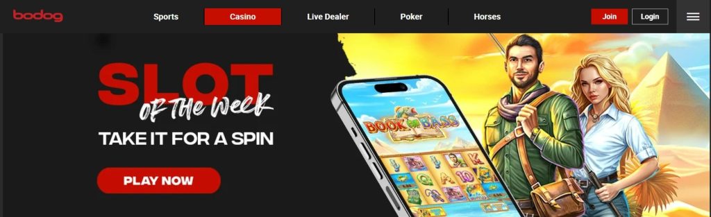Bodog Casino